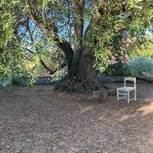 Casa vacanze Casa Olea